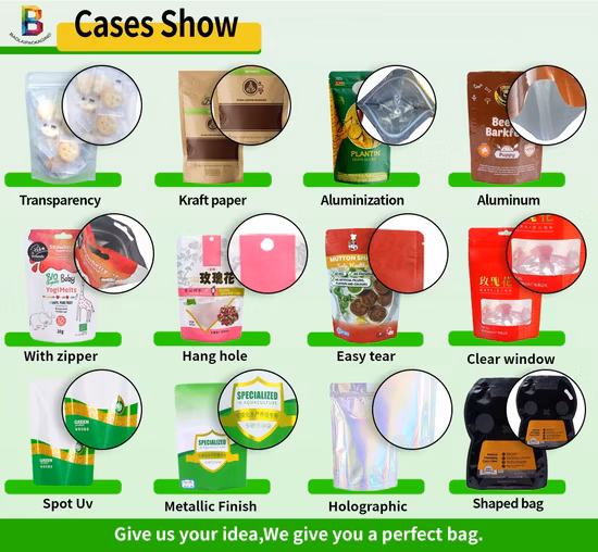 Sacs d'emballage séchés personnalisés pour collations de bœuf Biltong avec Windo