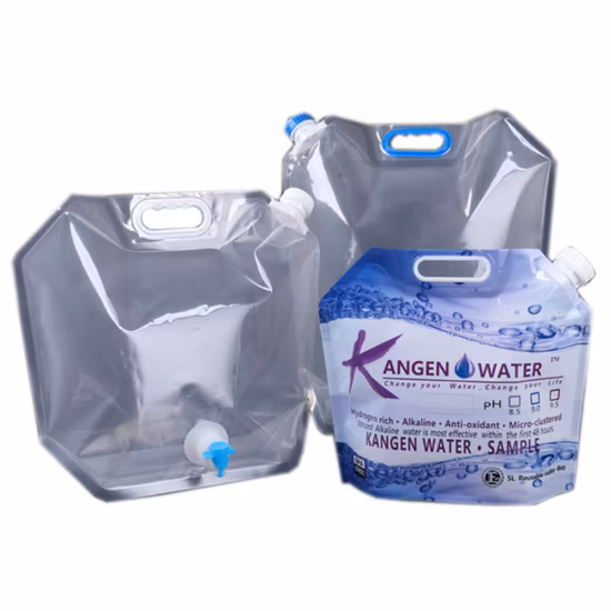 Le liquide en plastique en nylon imprimé par coutume de shampooing d'animal familier tiennent la poche avec le bec verseur